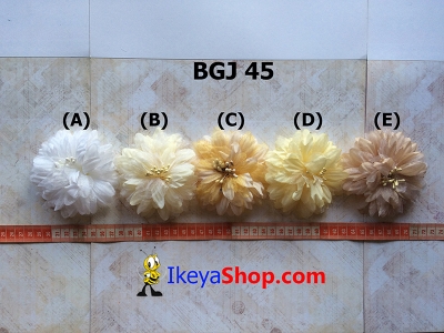 BGJ 45 A E  large2